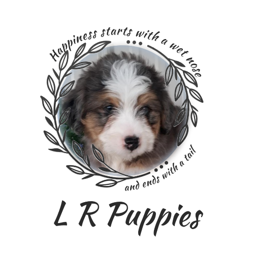 LR Puppies